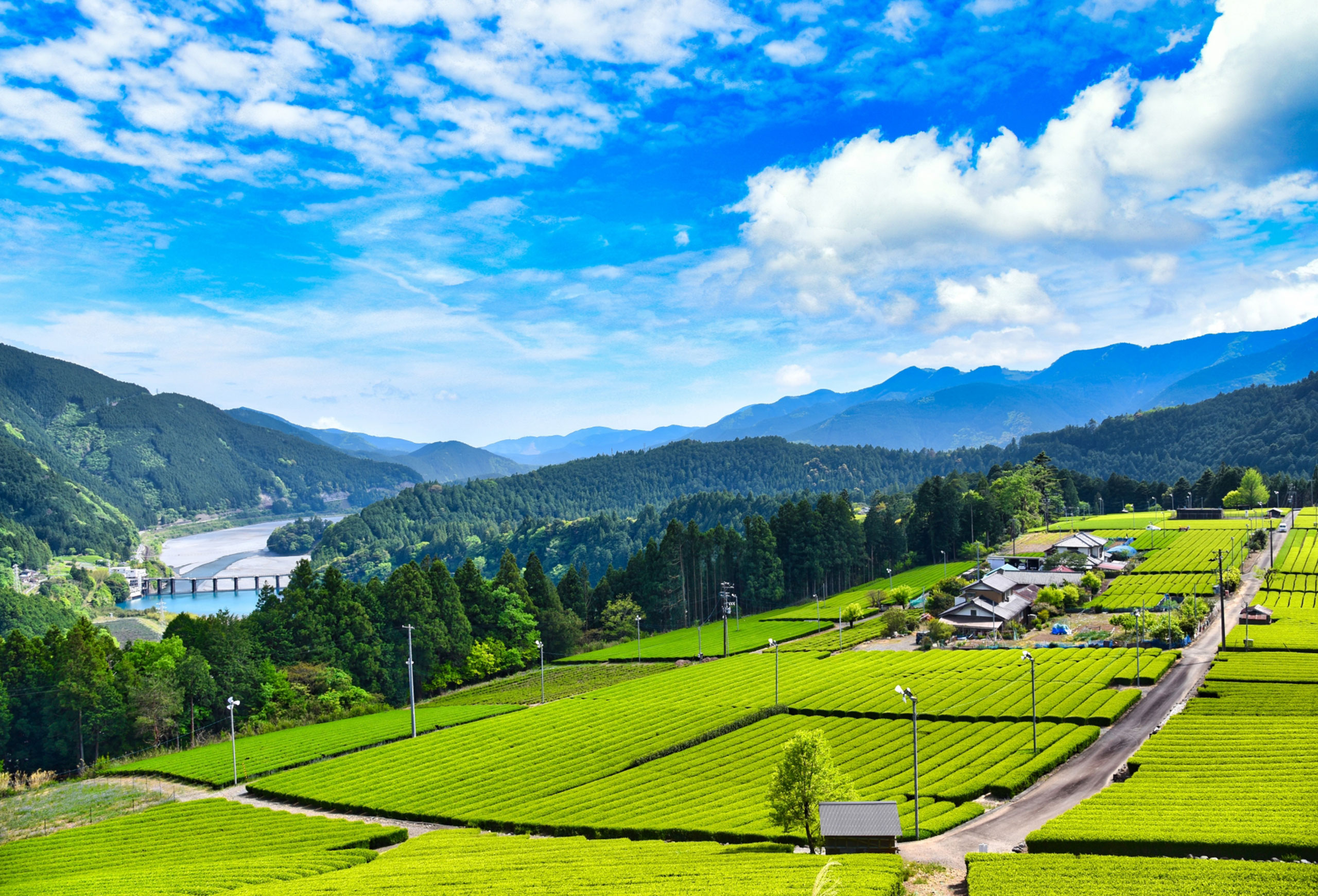 川根本町