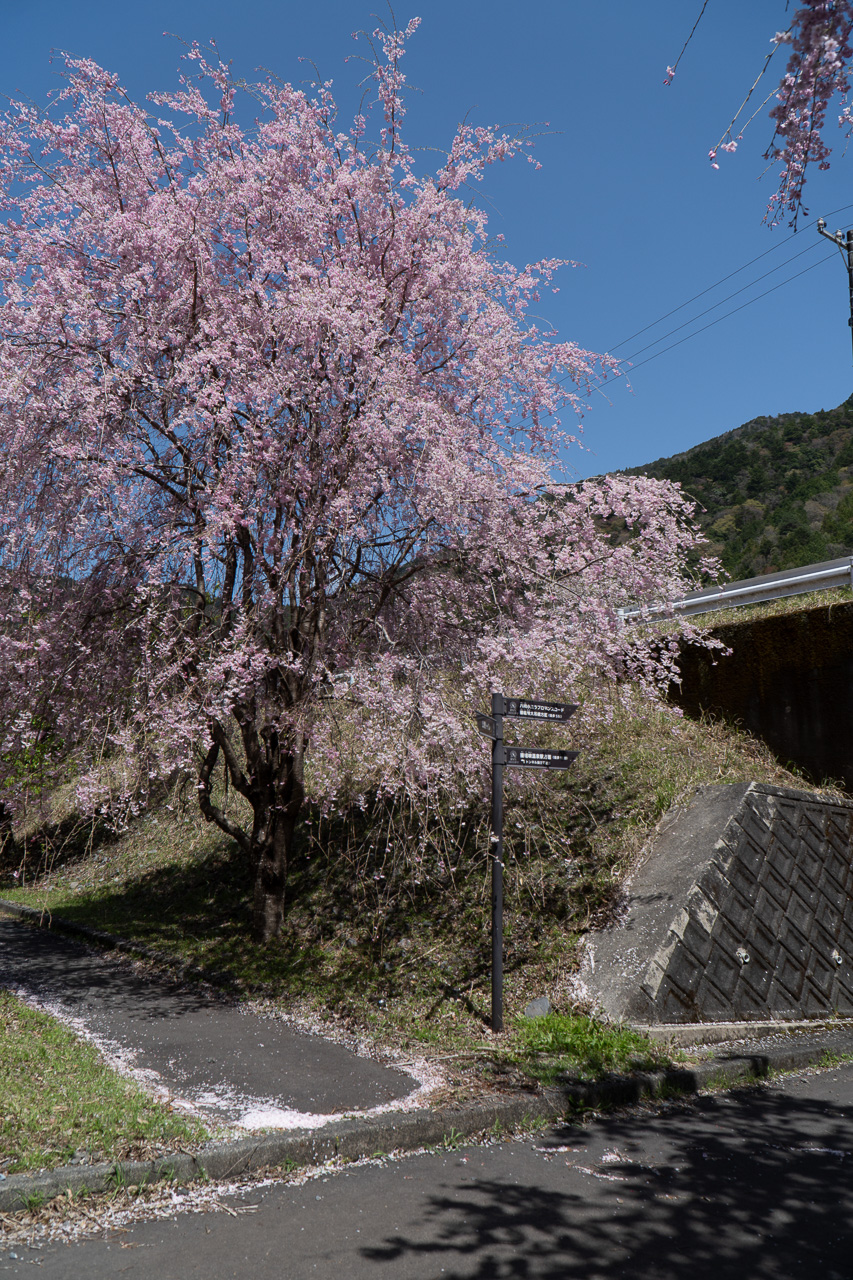 長島公園